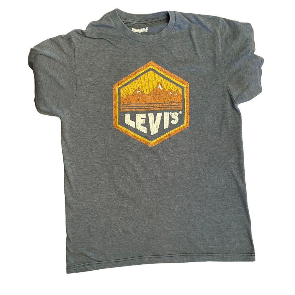 Levi's Tee, Strauss & Co, Distressed Graphic Print, Blue/Gray, Men's,Size Medium